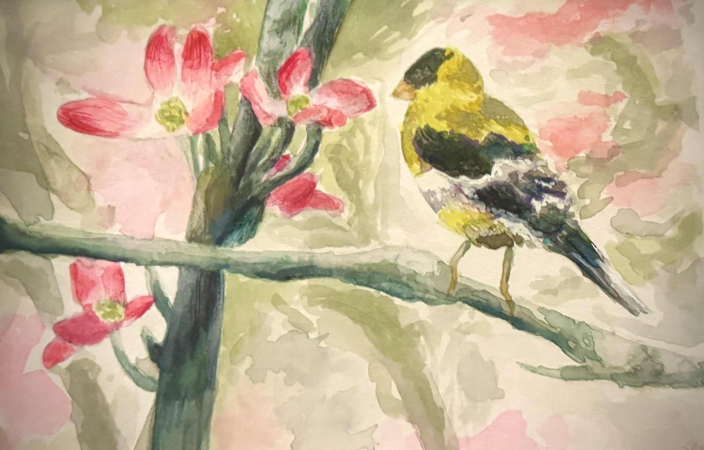 Bird,2021. Watercolor.