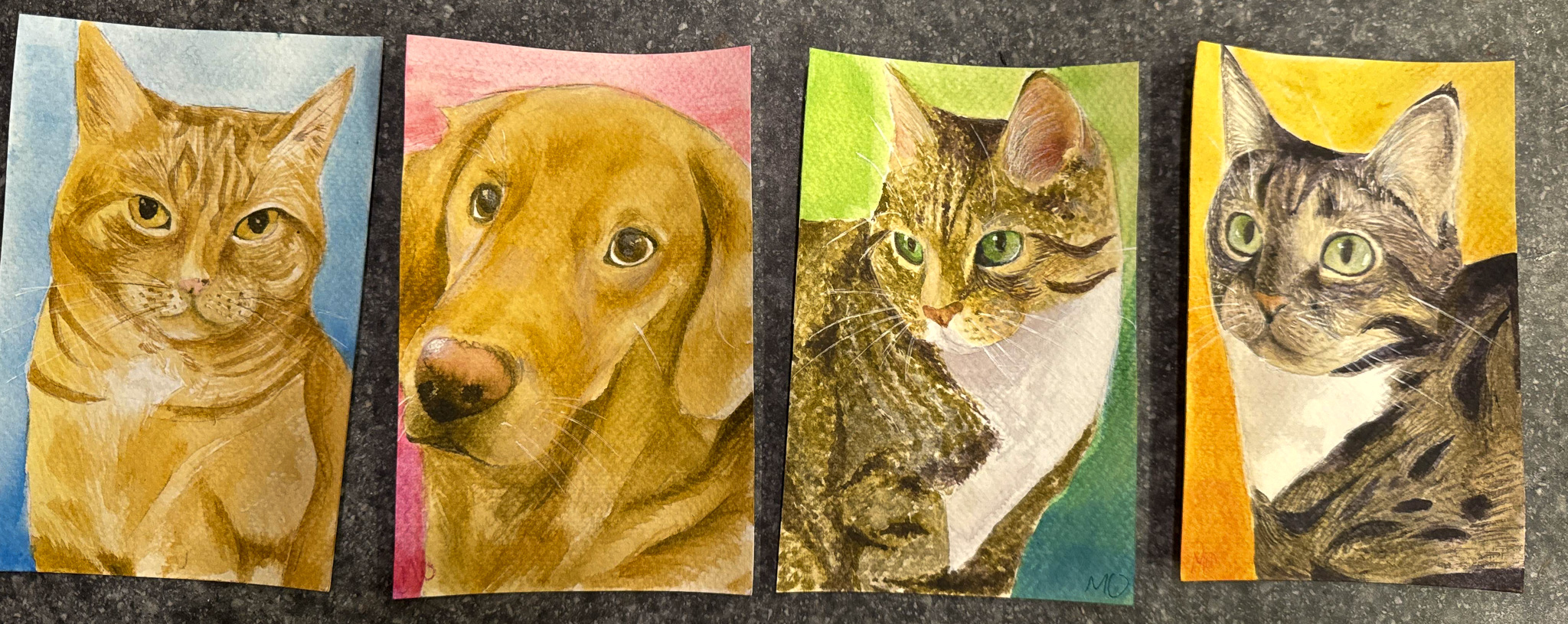 Pets, 2024. Watercolor.