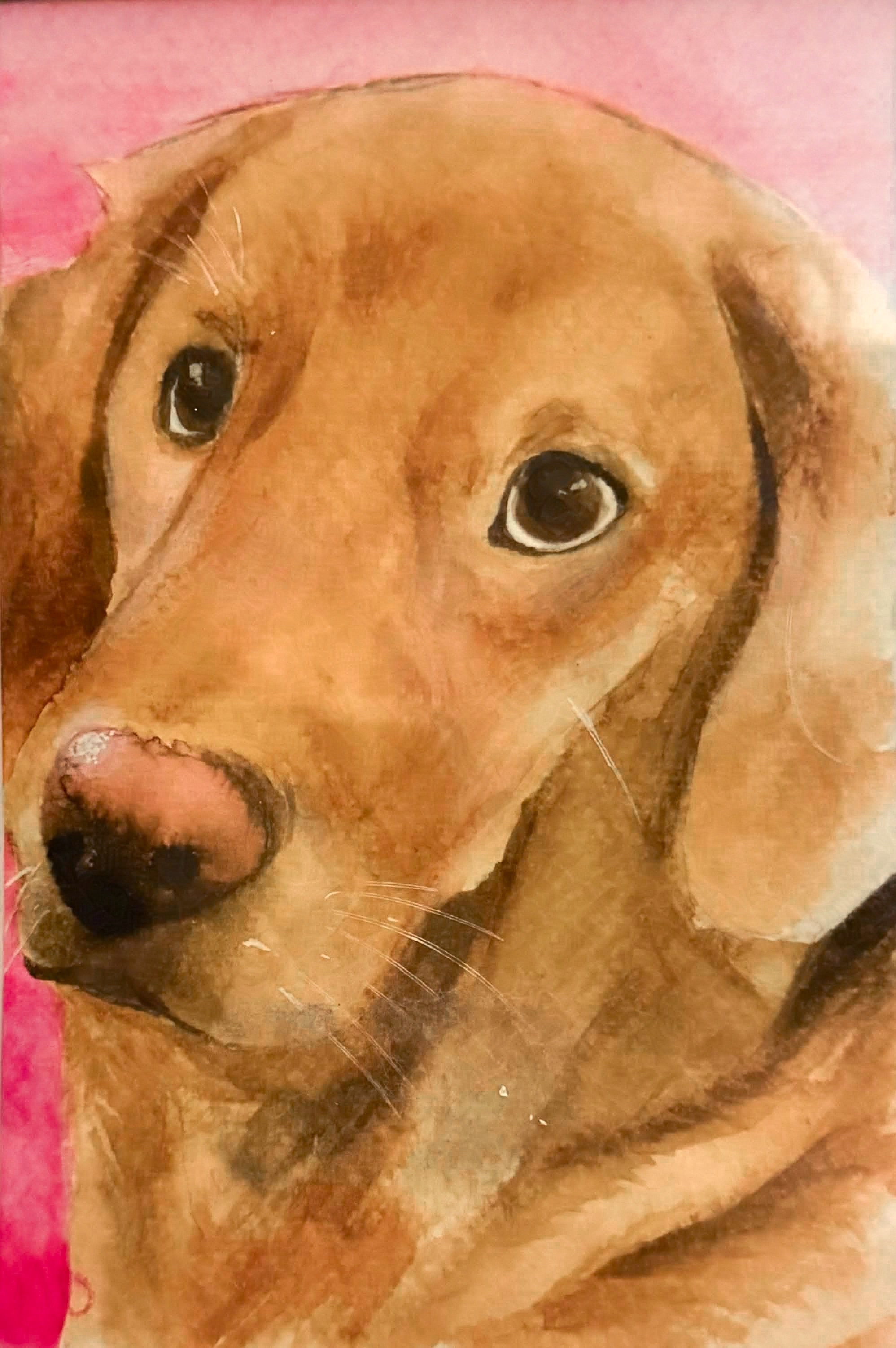 Barley (2024). Watercolor painting. 3 × 5 inches. Commissioned by kirshazel.