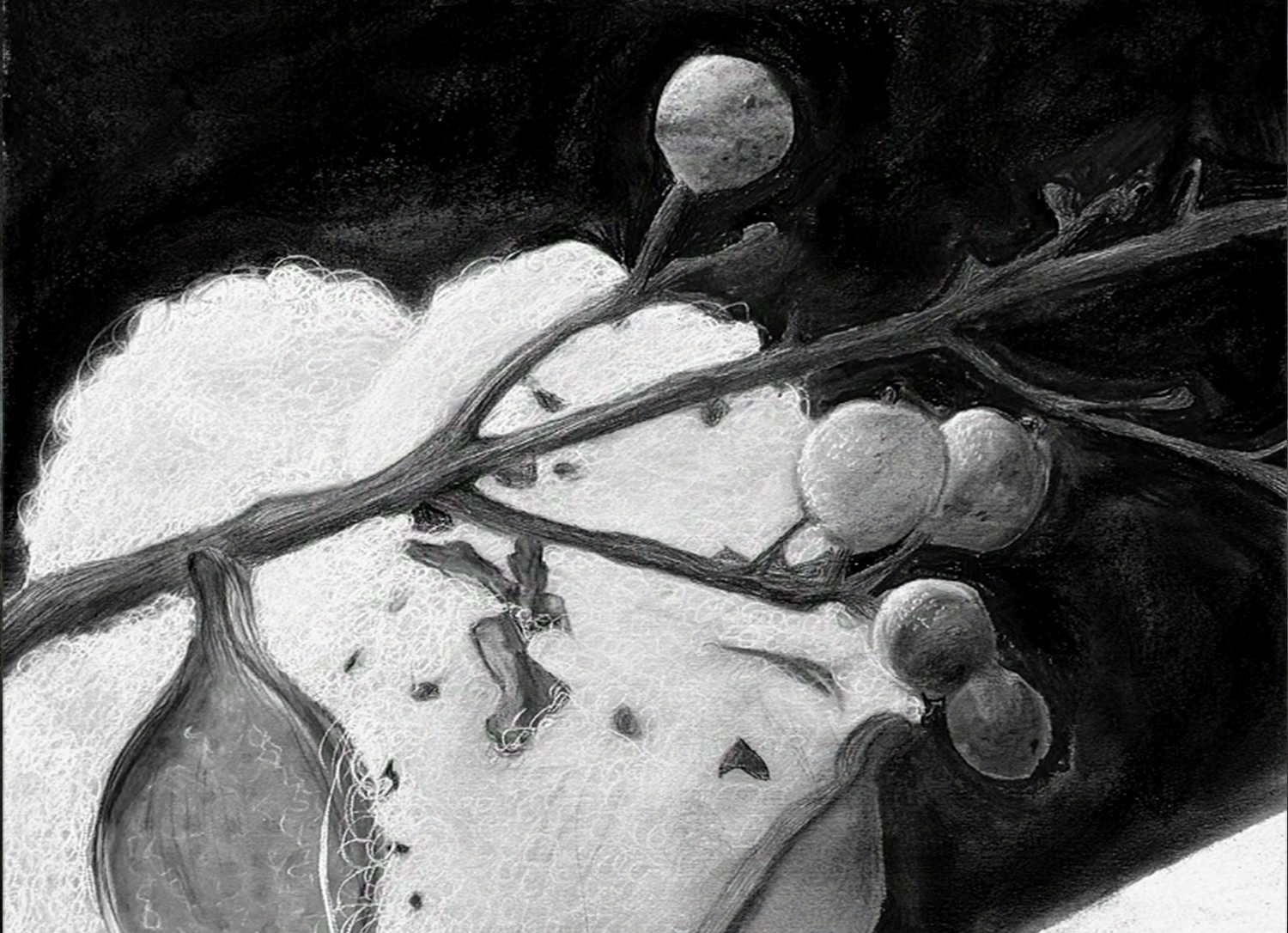 Berry (2024). Charcoal and conte drawing. 24 × 18 inches. For Beginning Drawing.