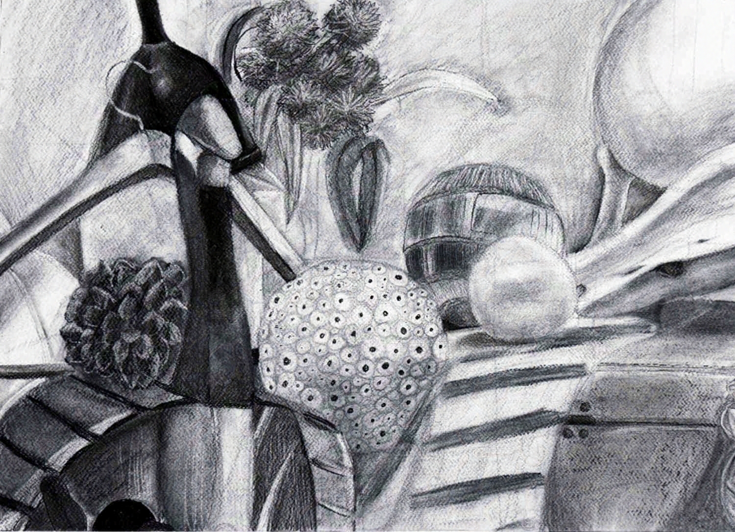 Duck (2024). Charcoal and conte drawing. 24 × 18 inches. For Beginning Drawing.