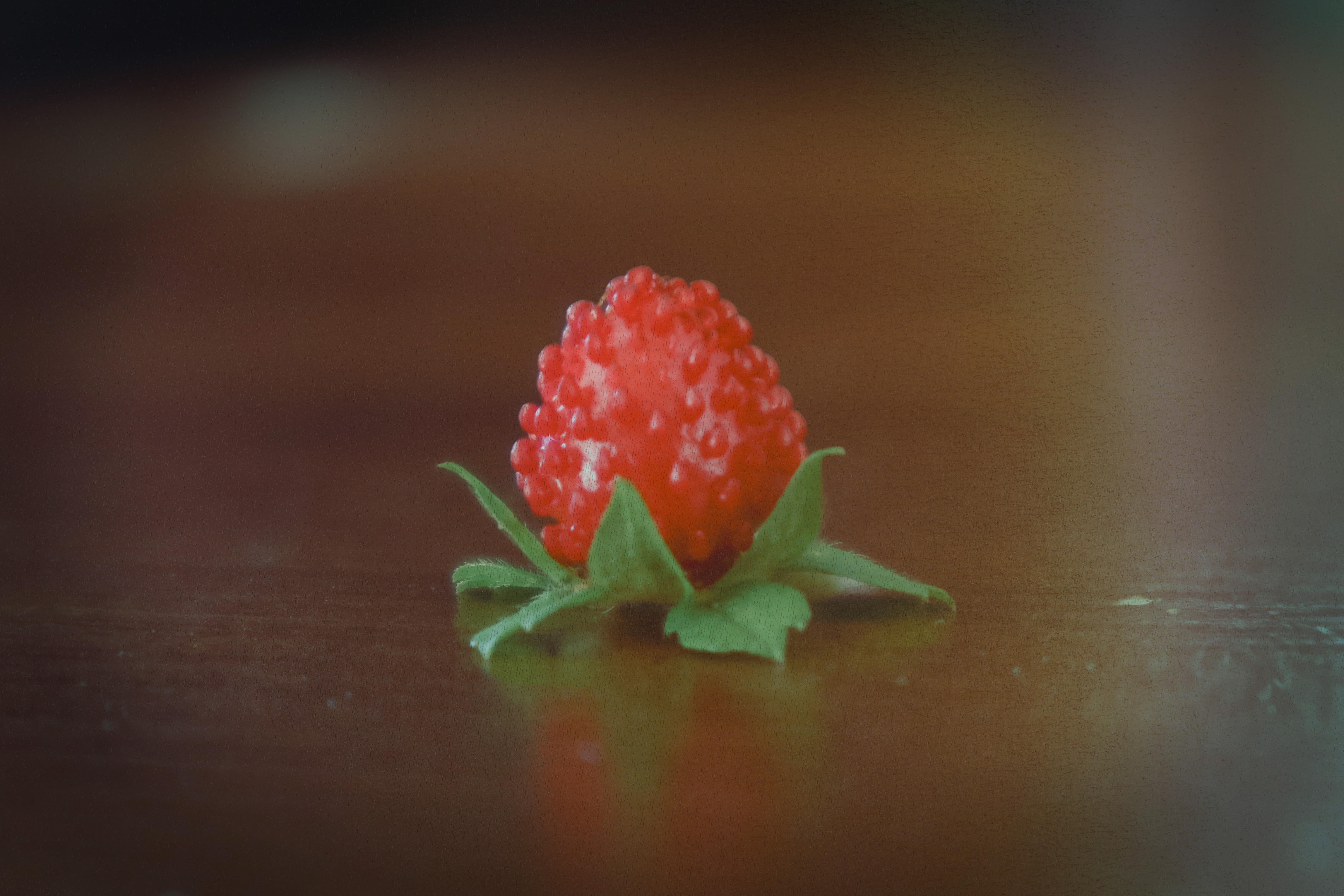 Strawberry, 2024.